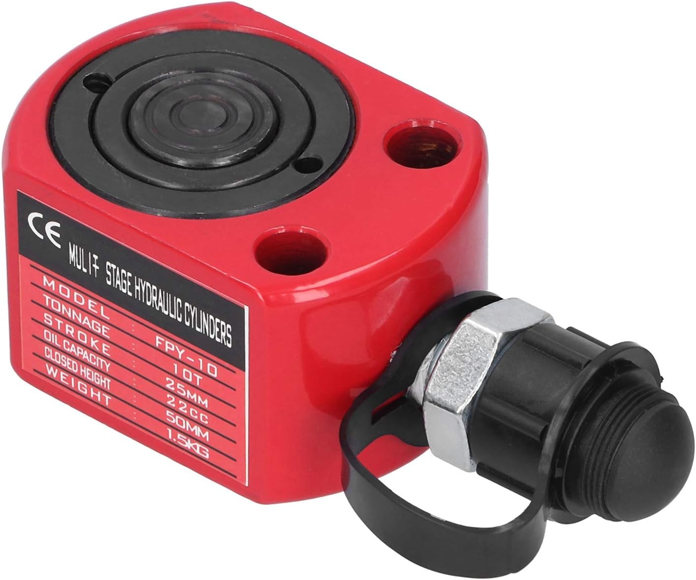 佐光亜紀子、【南アフリカ】、希少な画集画、新品高級額 額装付、状態